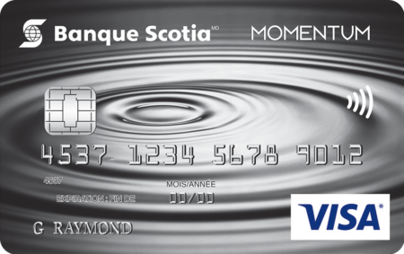 Momentum Visa Fre